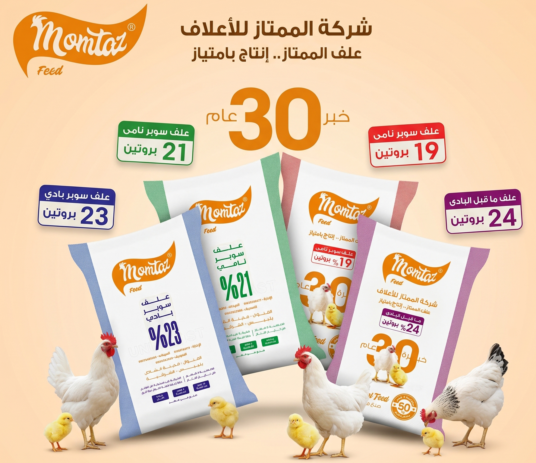 دواجن وكتاكيت